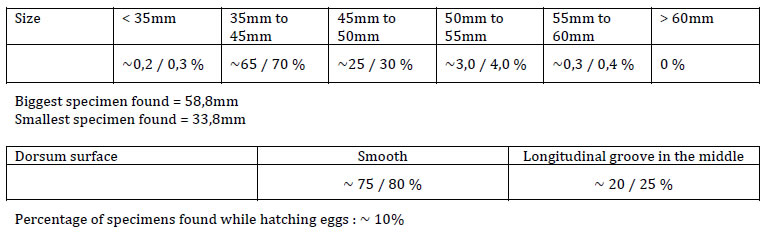 teulerei statistic data